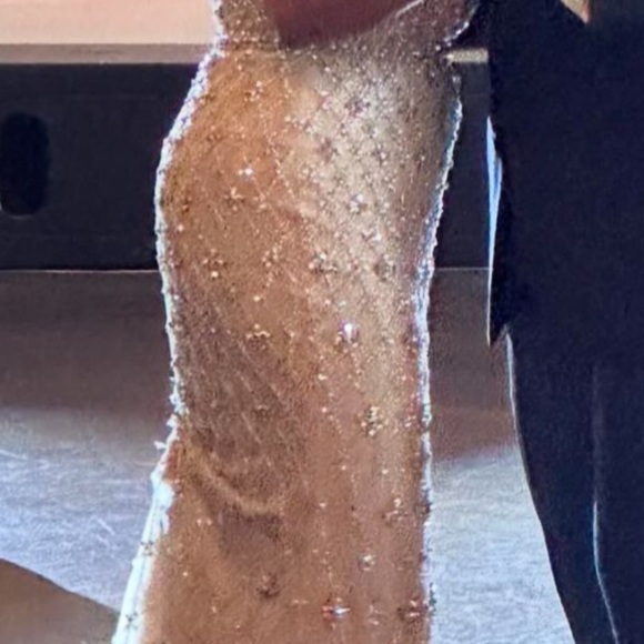Terani Couture Dresses & Skirts - Mother of bride or groom or black tie affair.